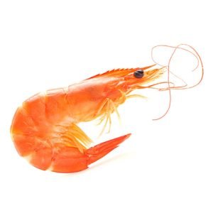 COOKED VANNAMEI HEADON, WHOLE SHRIMP (HOSO)
