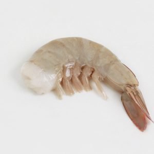RAW VANNAMEI HEADLESS, SHELL-ON SHRIMP (HLSO)